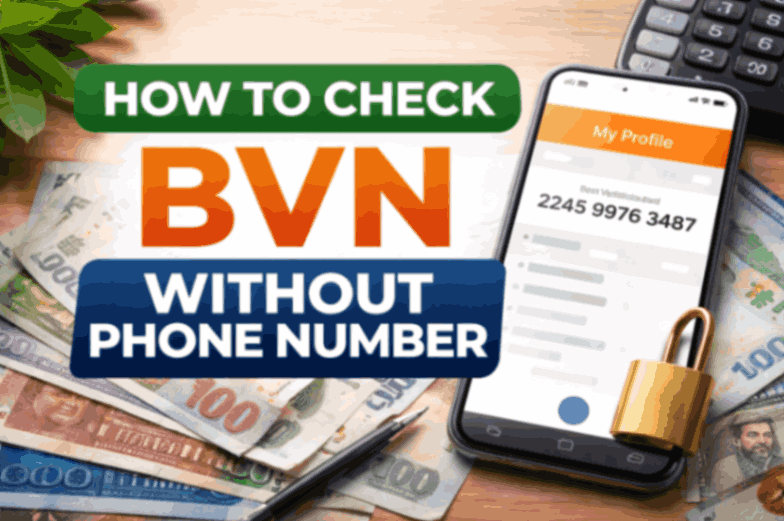 How to Check Your BVN Without a Phone Number (2026 Complete Guide)